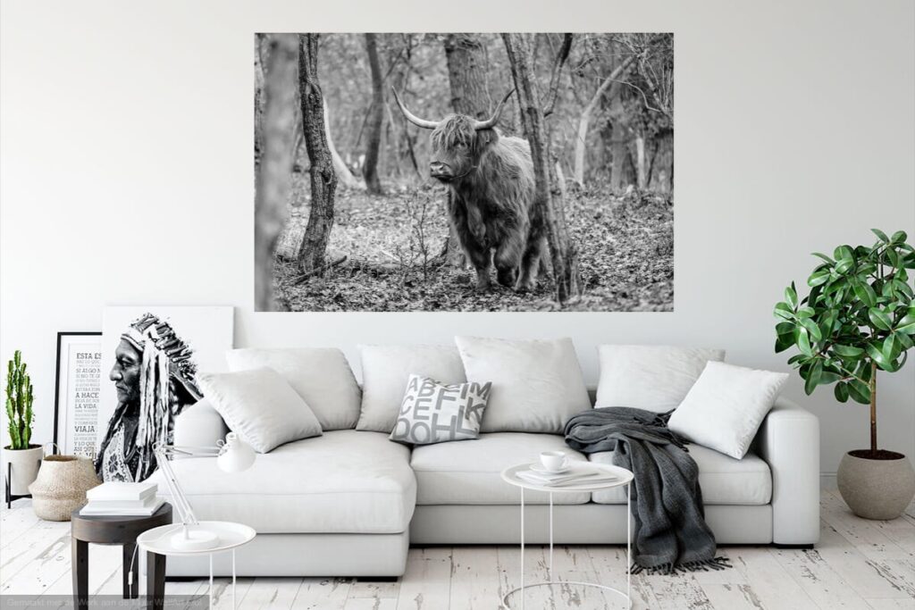 Schotse Hooglander Werk aan de Muur Melissa Peltenburg