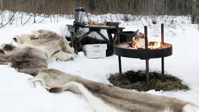 Outdoor activiteiten in Zuid Finland winter - Reislegende.nl