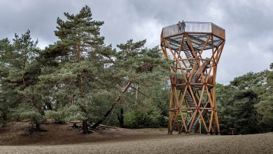 Kootwijkerzand uitkijktoren op grootste stuifzandgebied van West-Europa - Reislegende.nl