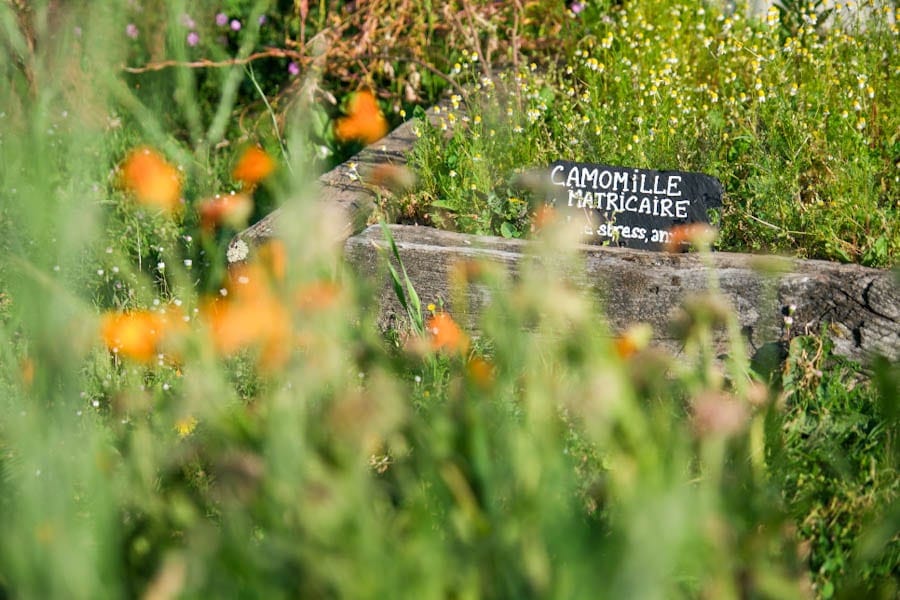 Tuinen van Eco Domaine La Fontaine Pornic Loire Atlantique mooie plaatsen langs kust Frankrijk - Reislegende.nl