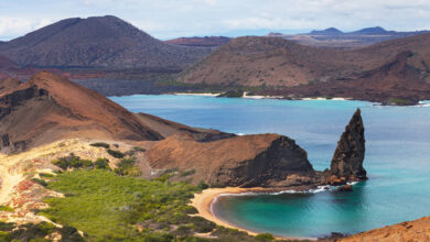 Galapagos Eilanden vakantie - Reislegende.nl