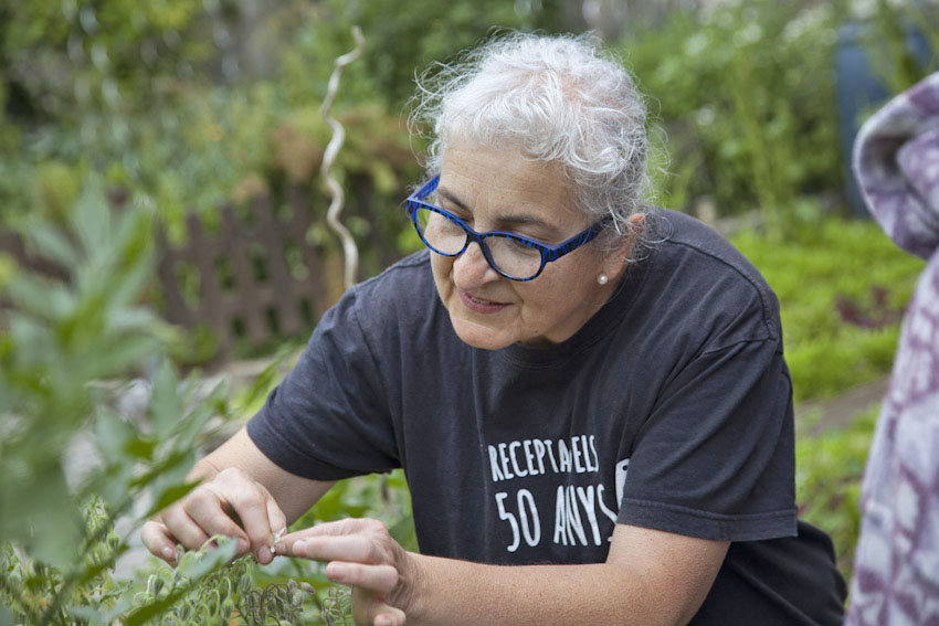 El Moli del Caso ecologisch voedsel verbouwen - Reislegende.nl