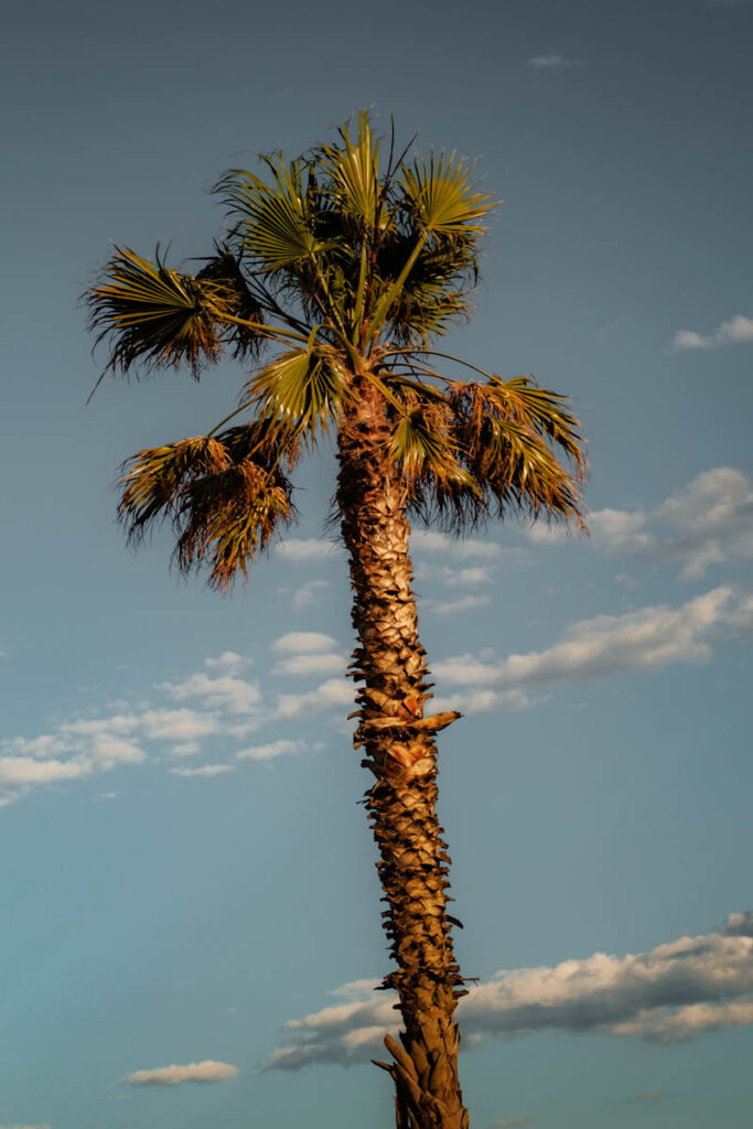 canet en roussillon wat doen in de buurt van Perpignan - Reislegende.nl