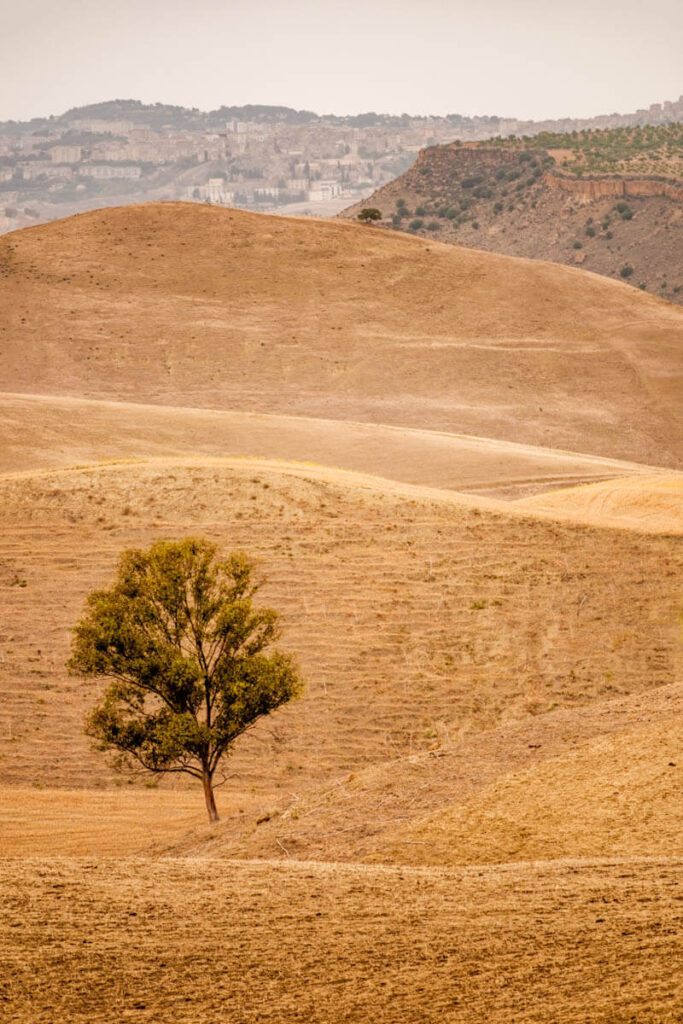 Binnenland Sicilie glooiende landschappen Reislegende