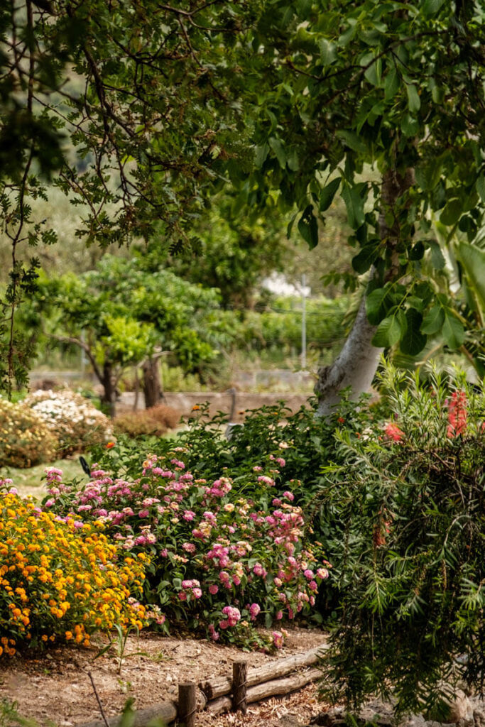 Botanische tuin Alcantara kloof Sicilie Reislegende