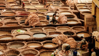 Chouara Tannery Fez leerlooierij Marokko Reislegende