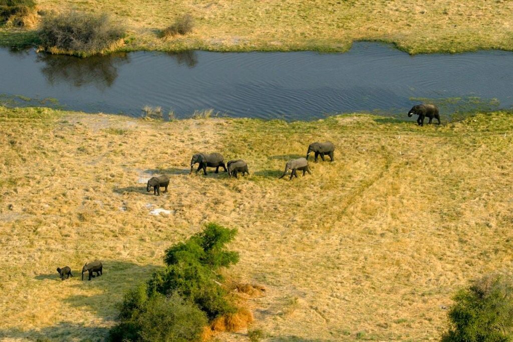 Combinatiereis Botswana en Zimbabwe Reislegende