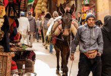 Een dag in medina van Fez Marokko tips Reislegende