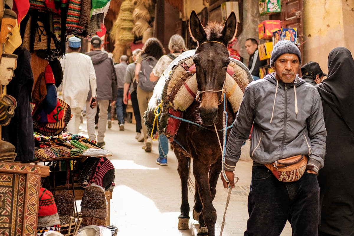 Een dag in medina van Fez Marokko tips Reislegende