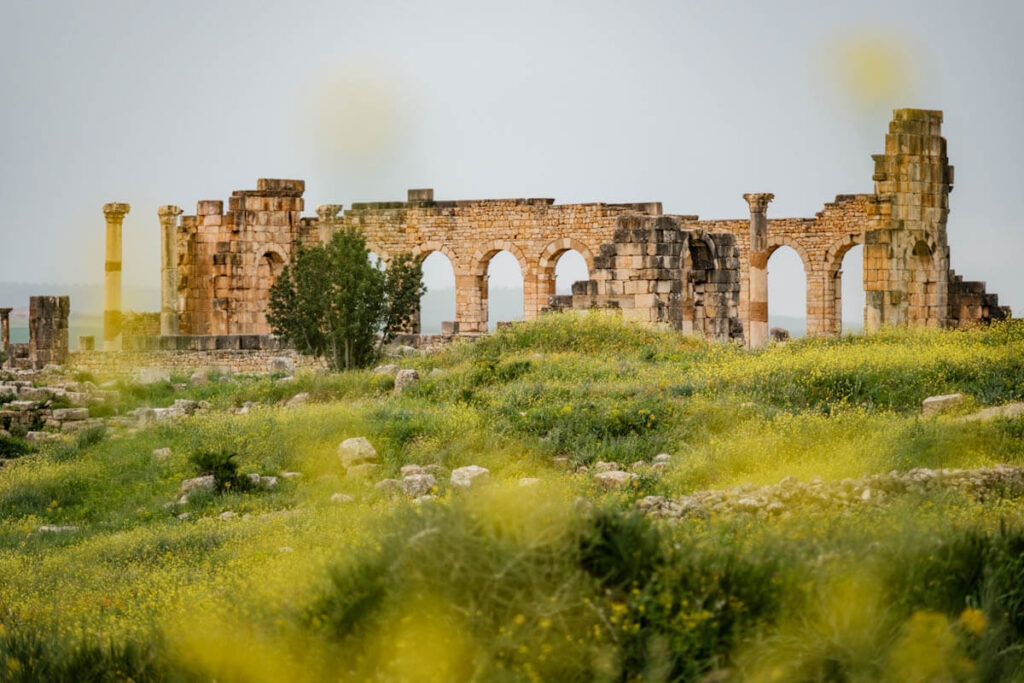 Romeinse nederzetting in Marokko Volubilis Oualili Reislegende