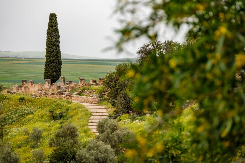 Volubilis Marokko Reislegende