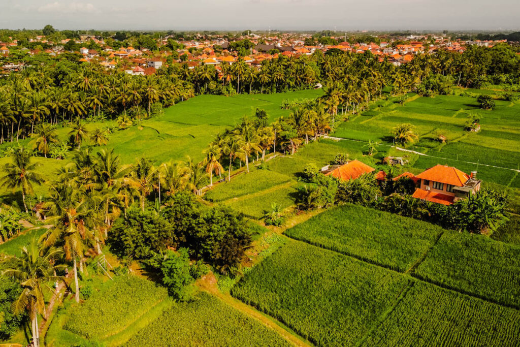 Sweet Orange Trail Ubud Bali Subak Juwuk Manis Rice Fields Walk Reislegende