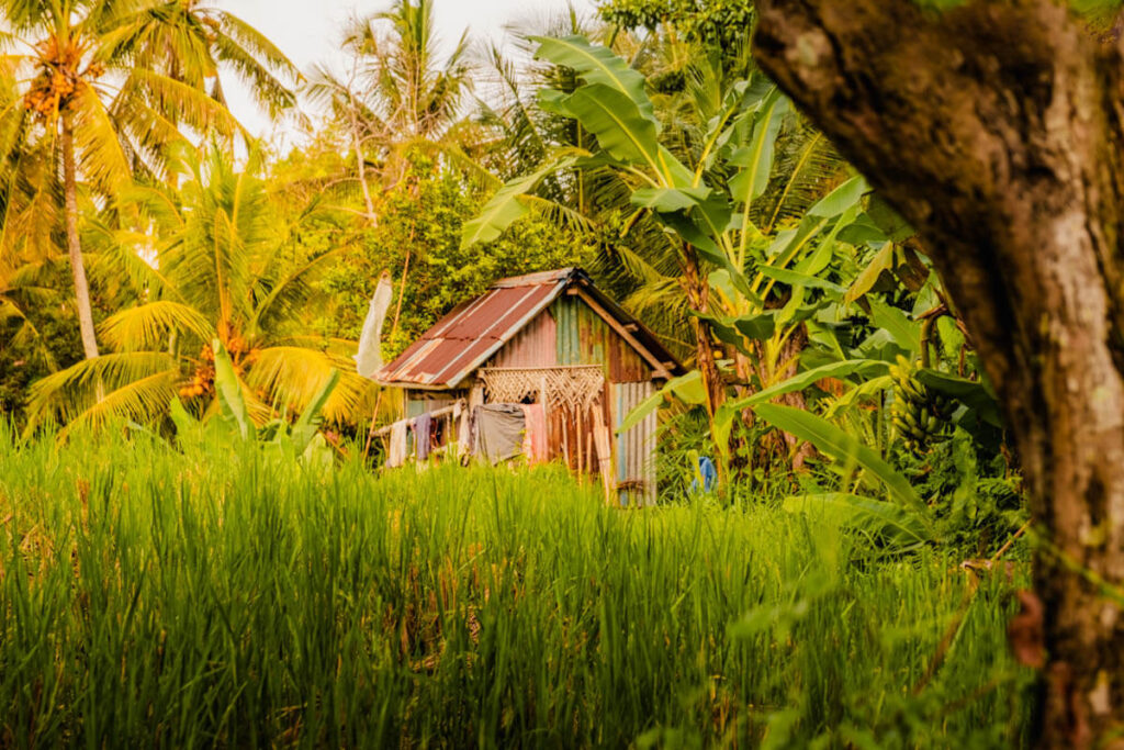 Sweet Orange Trail wandelen in Ubud Bali Reislegende