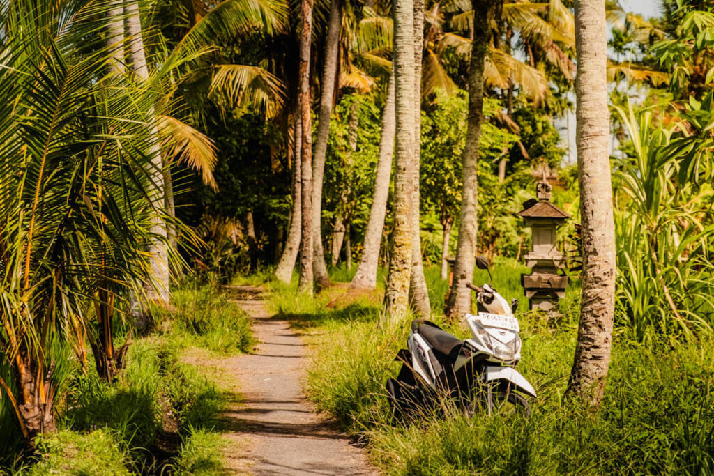 Ubud Subak Juwuk Manis Rice Fields Trail Bali Reislegende