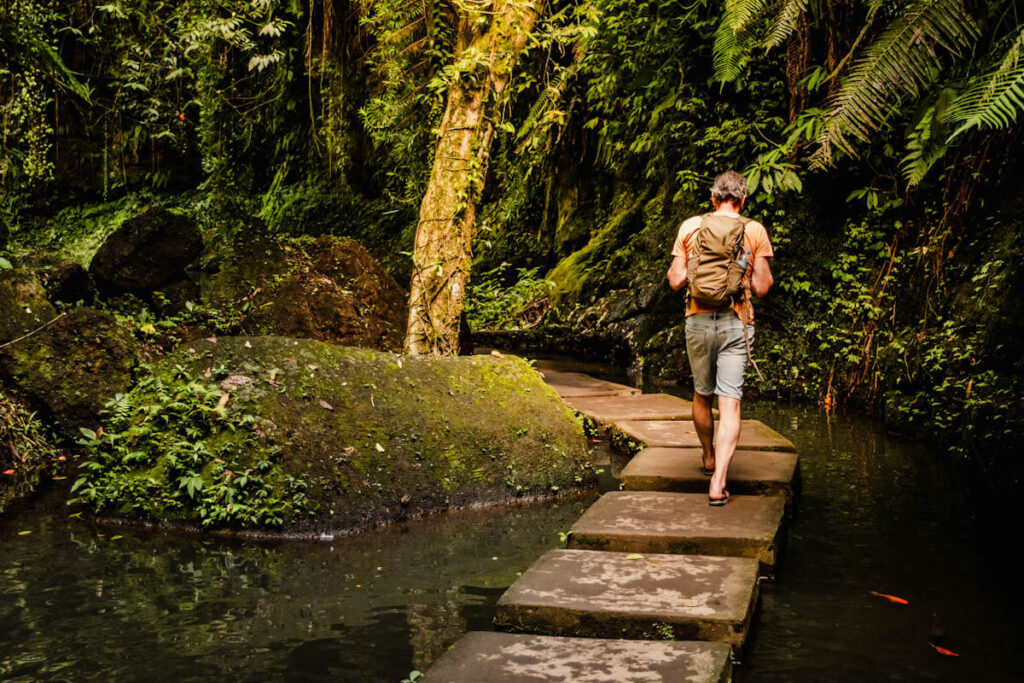 Ulu Petanu watervallen op Bali Reislegende