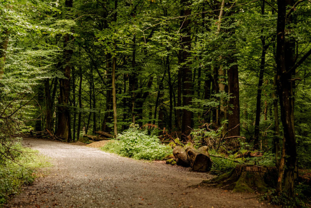 Wandelen bij Externsteine in Teutoburger Wald Duitsland Reislegende