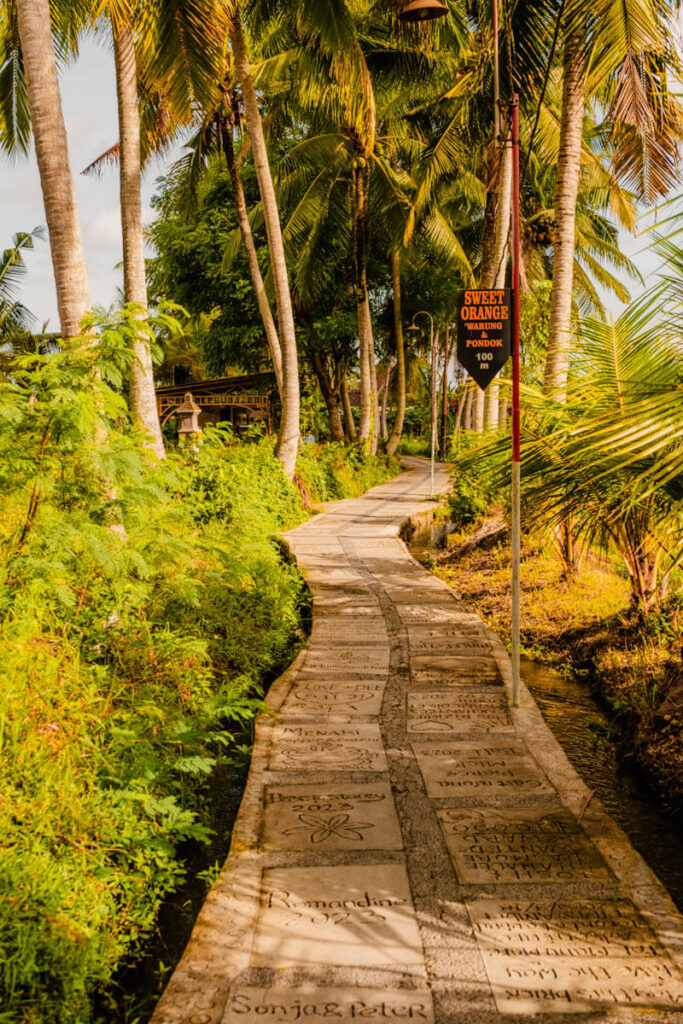 Wandelpad Kajeng rijstvelden in Ubud Bali Reislegende