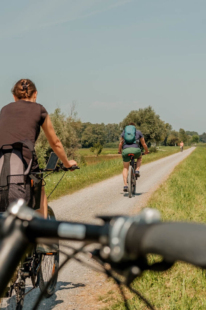 Fietsen in Rheindelta bij Bodensee Oostenrijk Reislegende