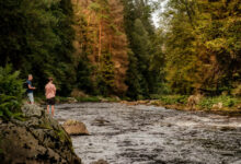 Nationaal park Sumava regio Pilsen Tsjechie Reislegende