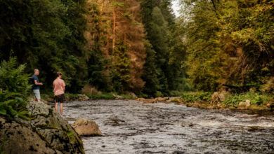 Nationaal park Sumava regio Pilsen Tsjechie Reislegende