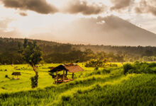 Plekken met mooie rijstvelden op Bali Reislegende