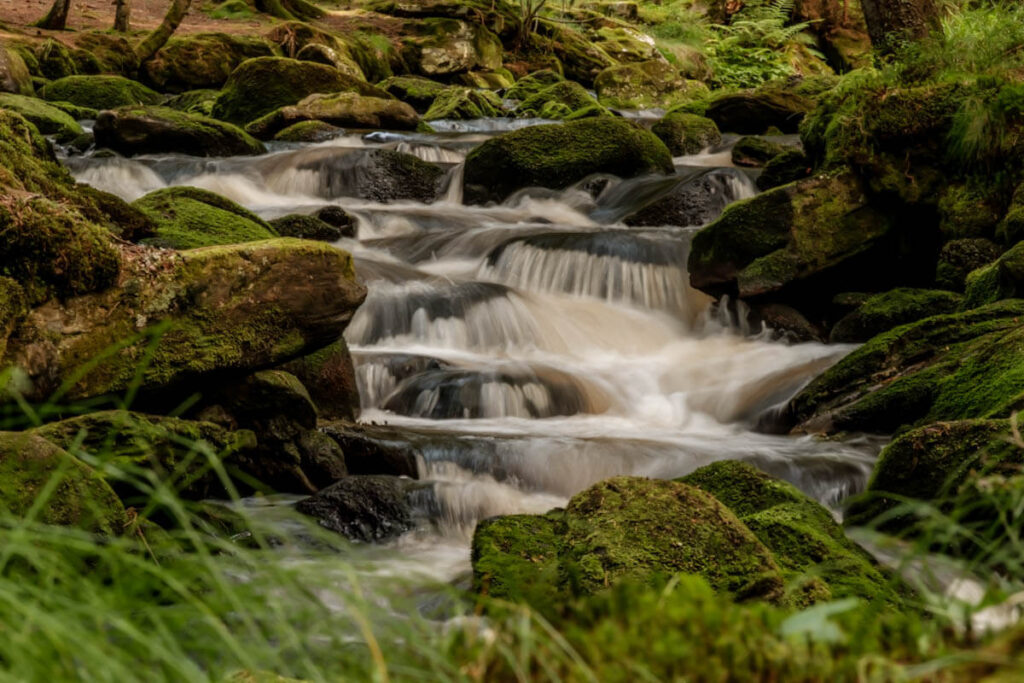 Sumava nationaal park regio Pilsen Tsjechie Reislegende