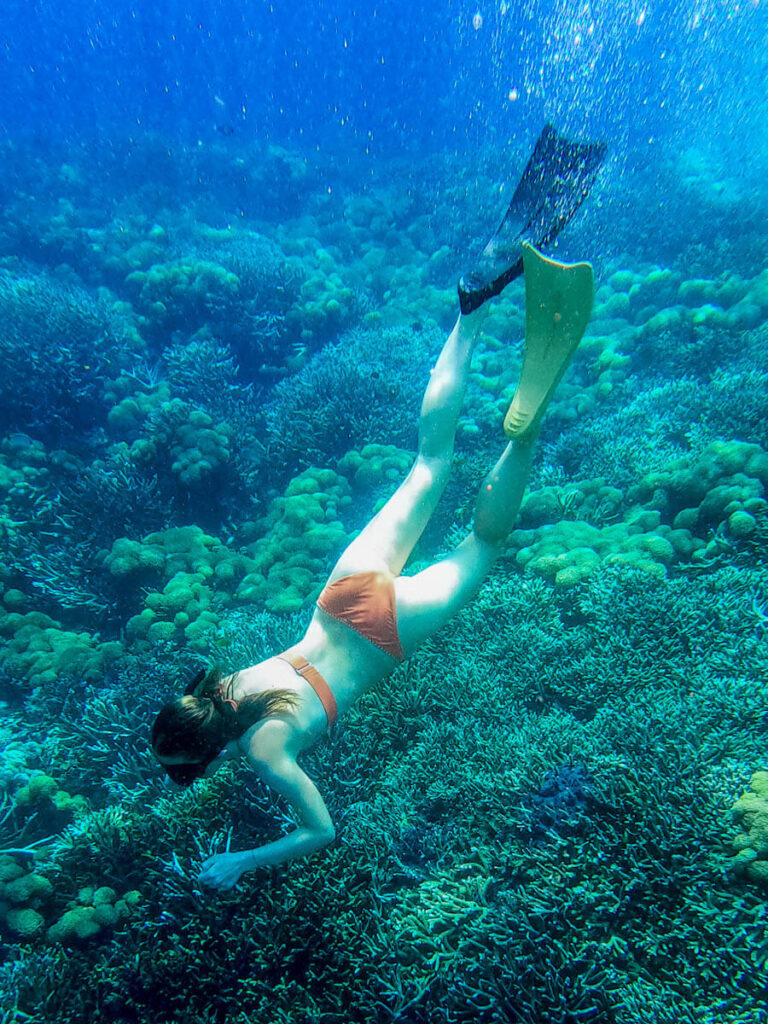 Wat doen op Nusa Lembongan snorkeltour Bali Reislegende