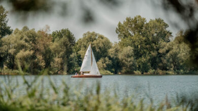 Zomer aan de Bodensee Bregenz Reislegende