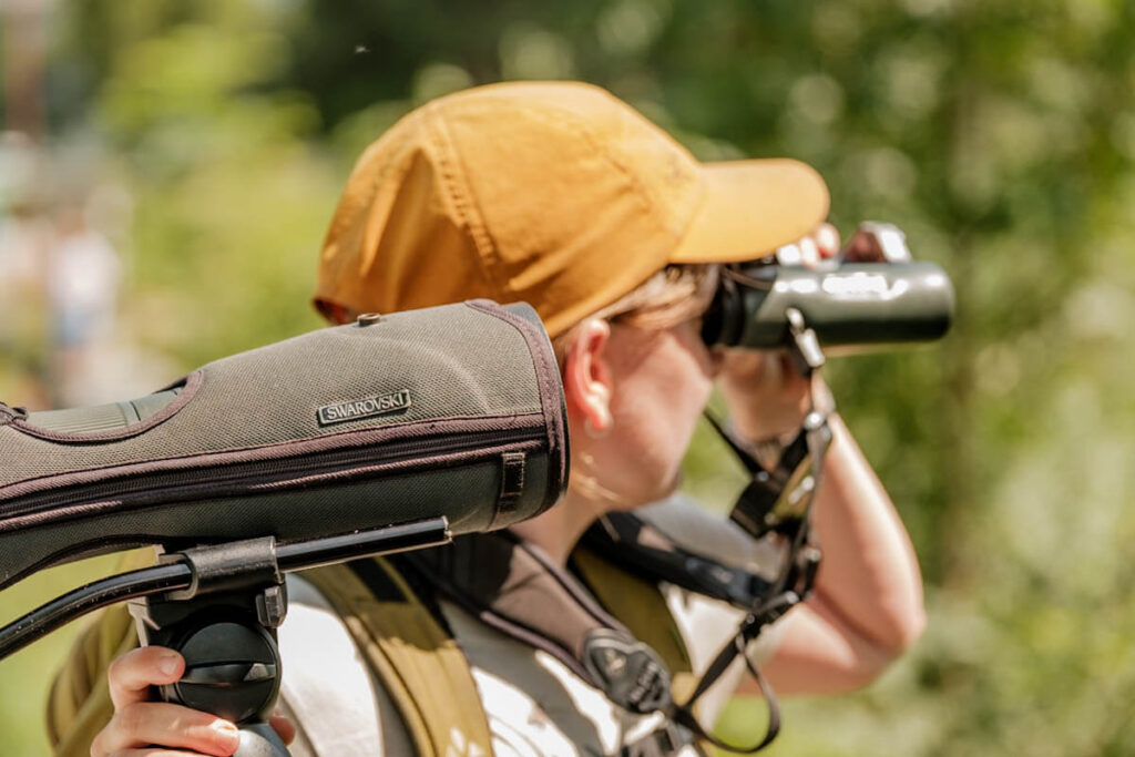 Zomer in Bregenz birdwatcher Bodensee Reislegende