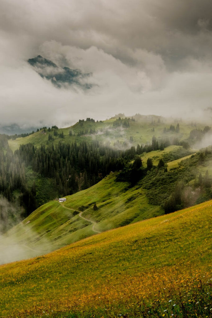 Zomer in Bregenzerwald wandelen Reislegende