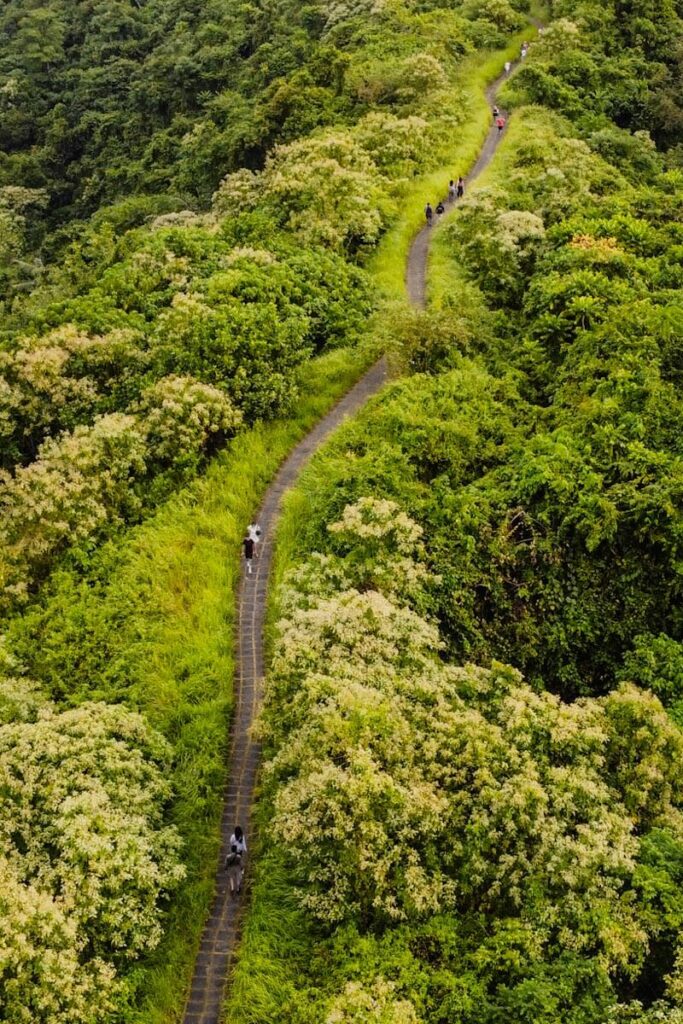 Campuhan Bali Ridge Walk Ubud Reislegende