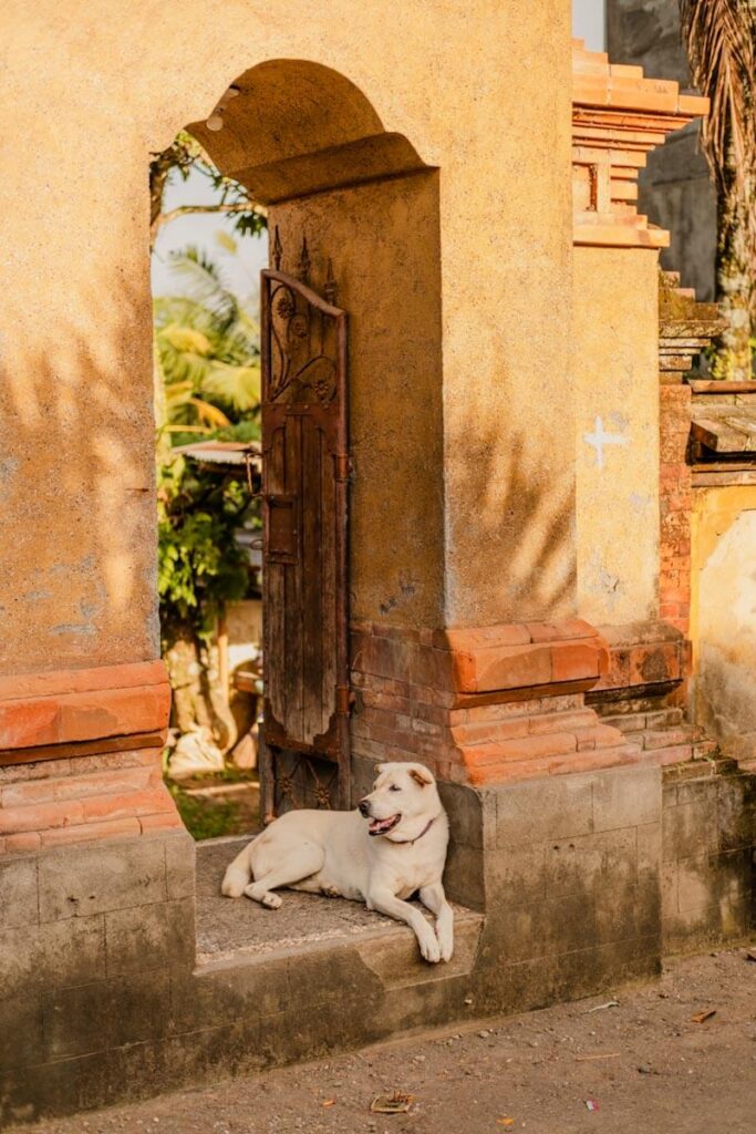 Campuhan Dorpje Ridge Walk Ubud Bali Reislegende