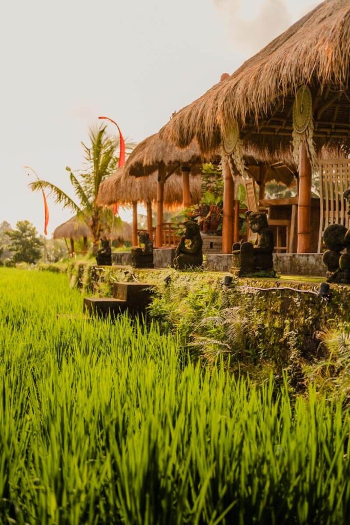 Campuhan Rare Angon Warung Ridge Walk Ubud Bali Reislegende