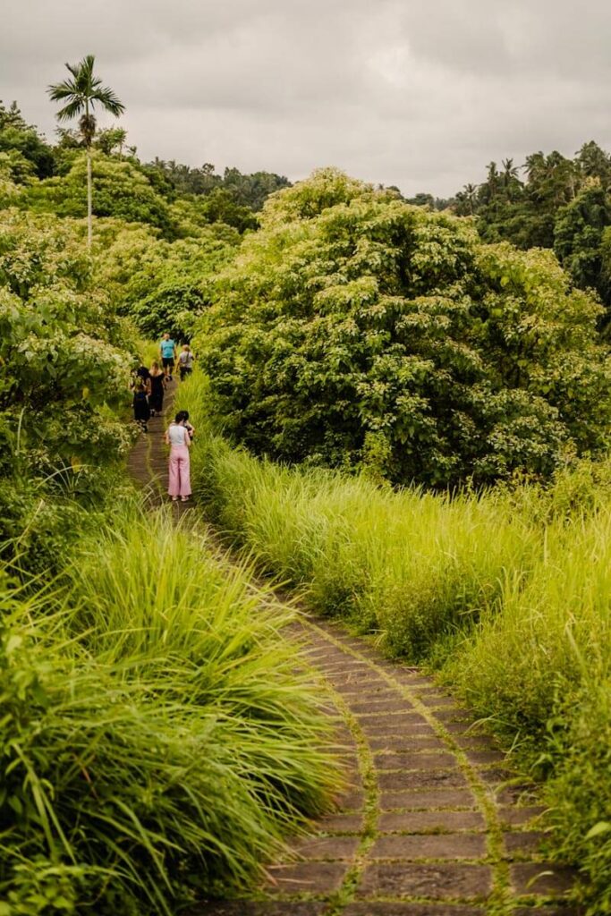 Campuhan Ridge Walk Ubud wandeling bergkam Bali Reislegende