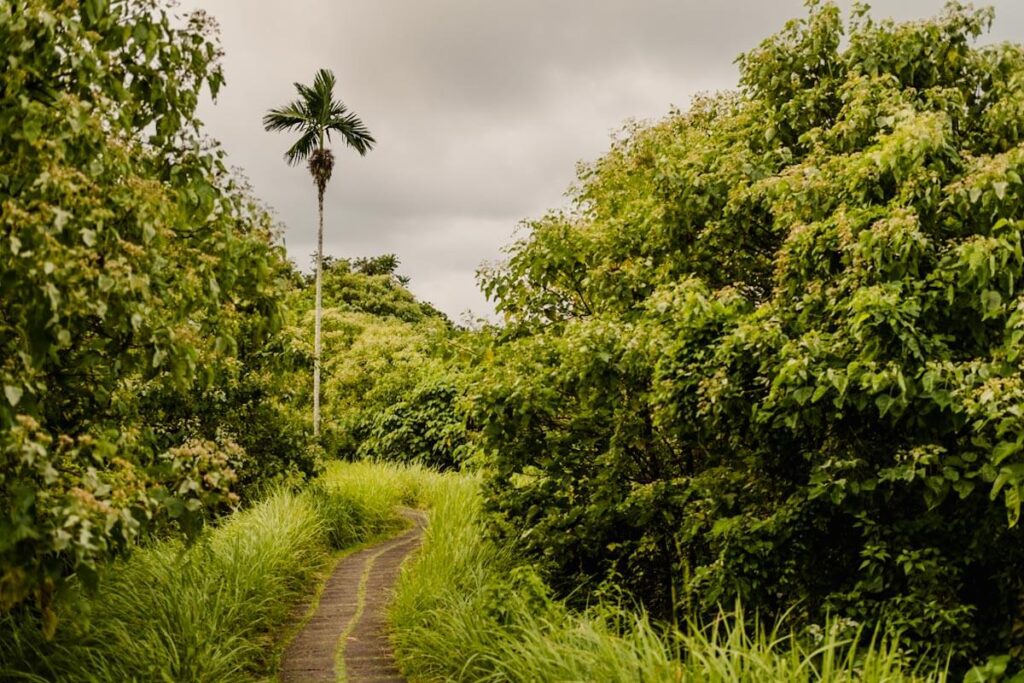 Campuhan Ridge wandeling Ubud Bali Reislegende