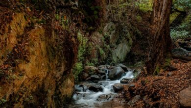 Kakopetria Vateri Trail Cyprus