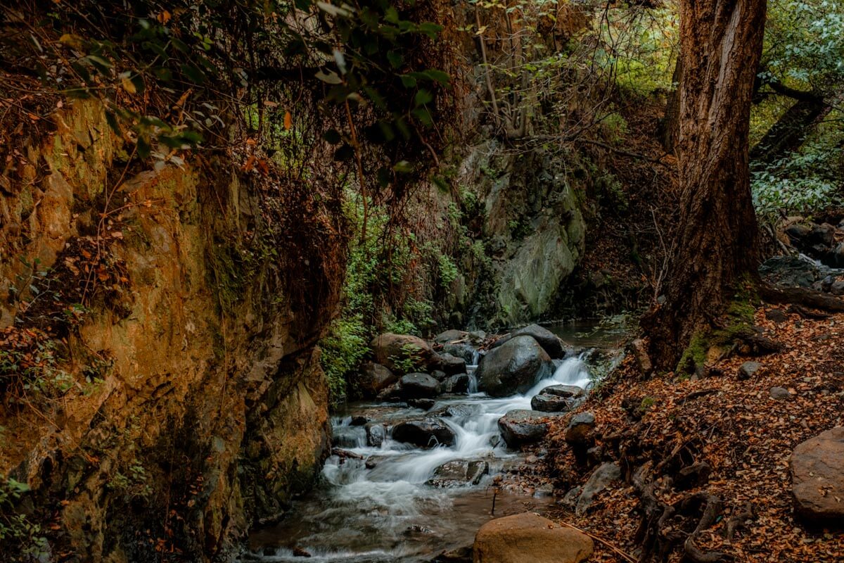 Kakopetria Vateri Trail Cyprus