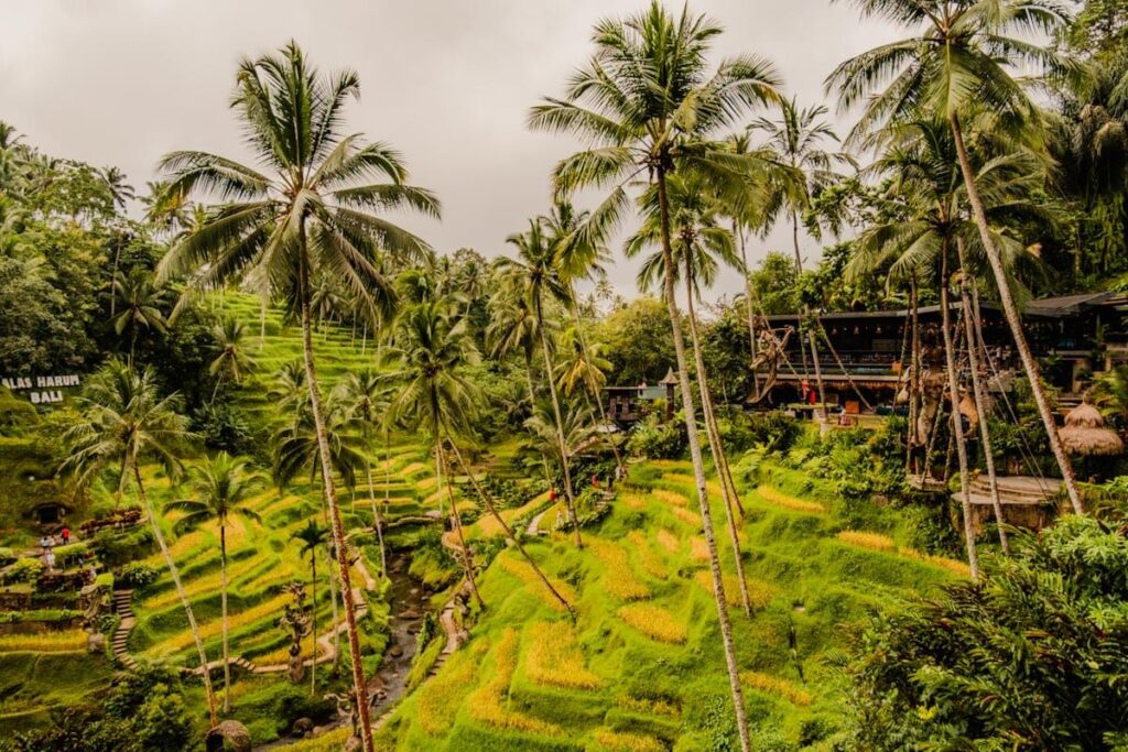 Tegalalang Alas Harum Bali Reislegende