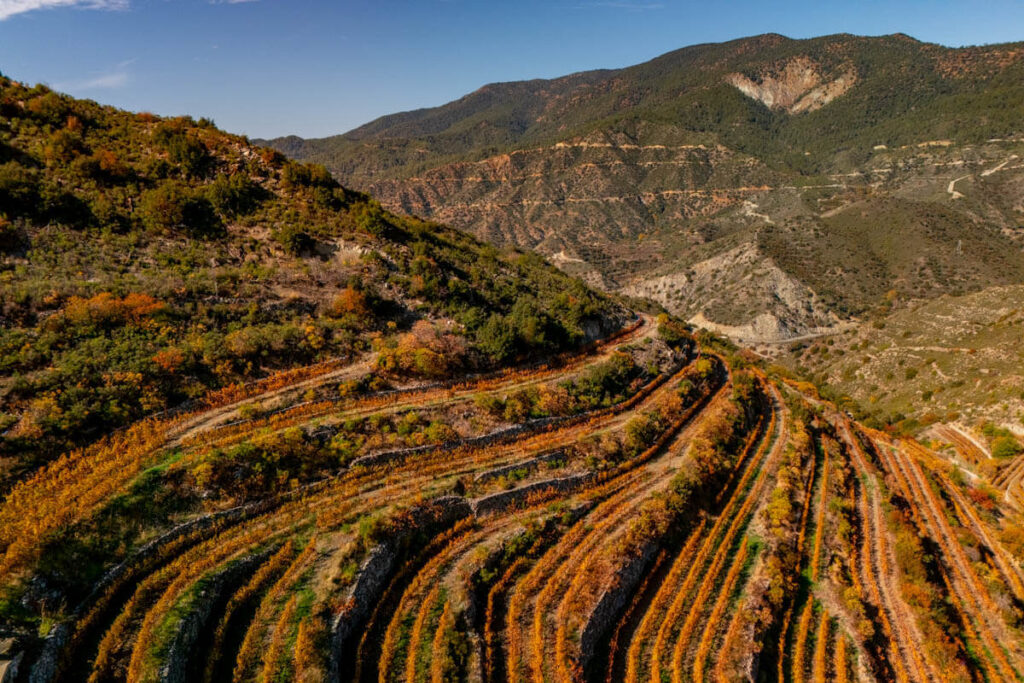 Tsiakkas Winery roadtrip Cyprus route en bezienswaardigheden Reislegende