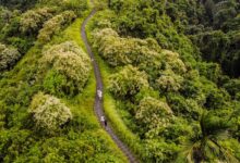 Ubud Campuhan Ridge Walk Bali Reislegende