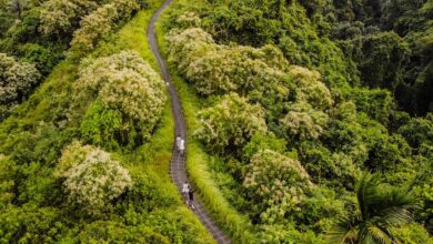 Ubud Campuhan Ridge Walk Bali Reislegende