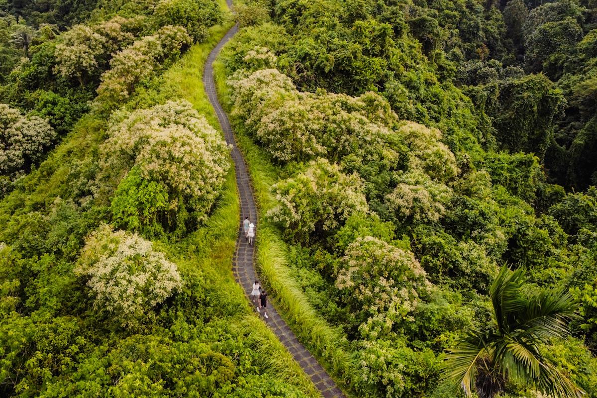 Ubud Campuhan Ridge Walk Bali Reislegende