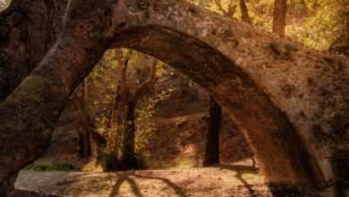 Venetiaanse bruggen op Cyprus Tzelefos Bridge