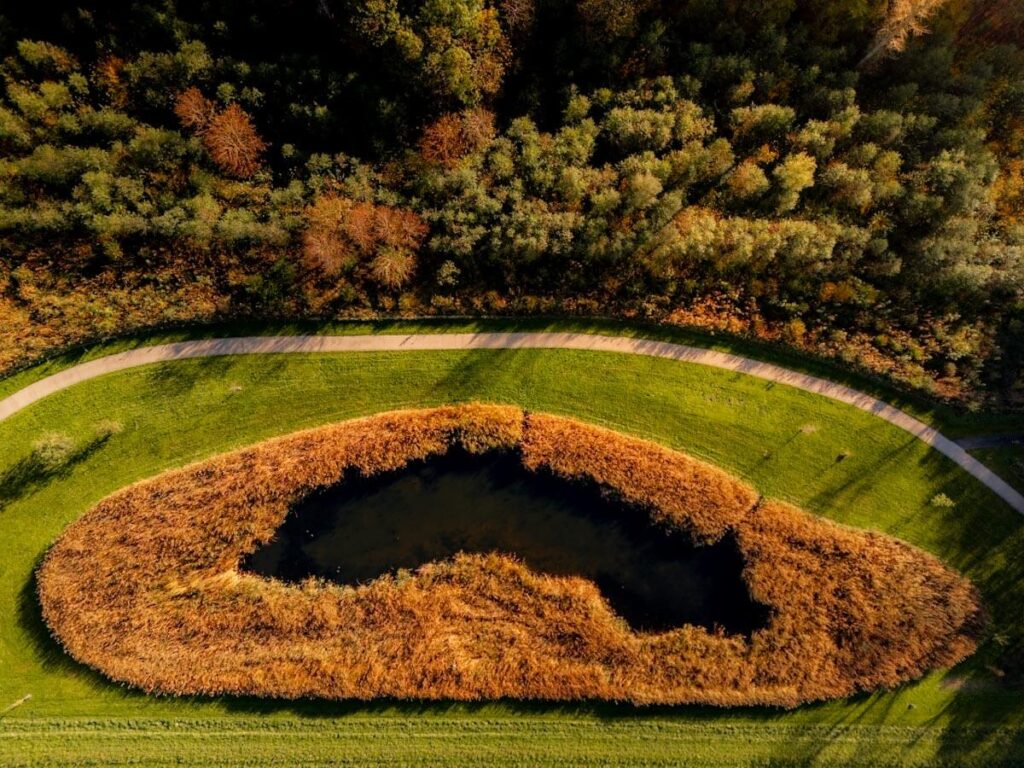 Herfst in Pampushout de poel Almere Reislegende