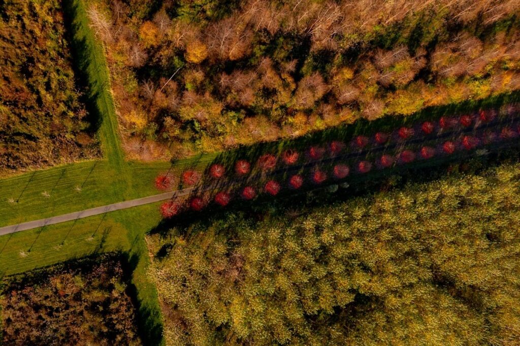 Stadsbos Pampushout wandelroute Almere