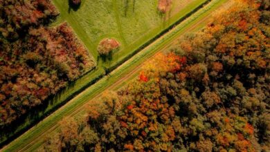 Wandelroutes Pampushout Almere Reislegende