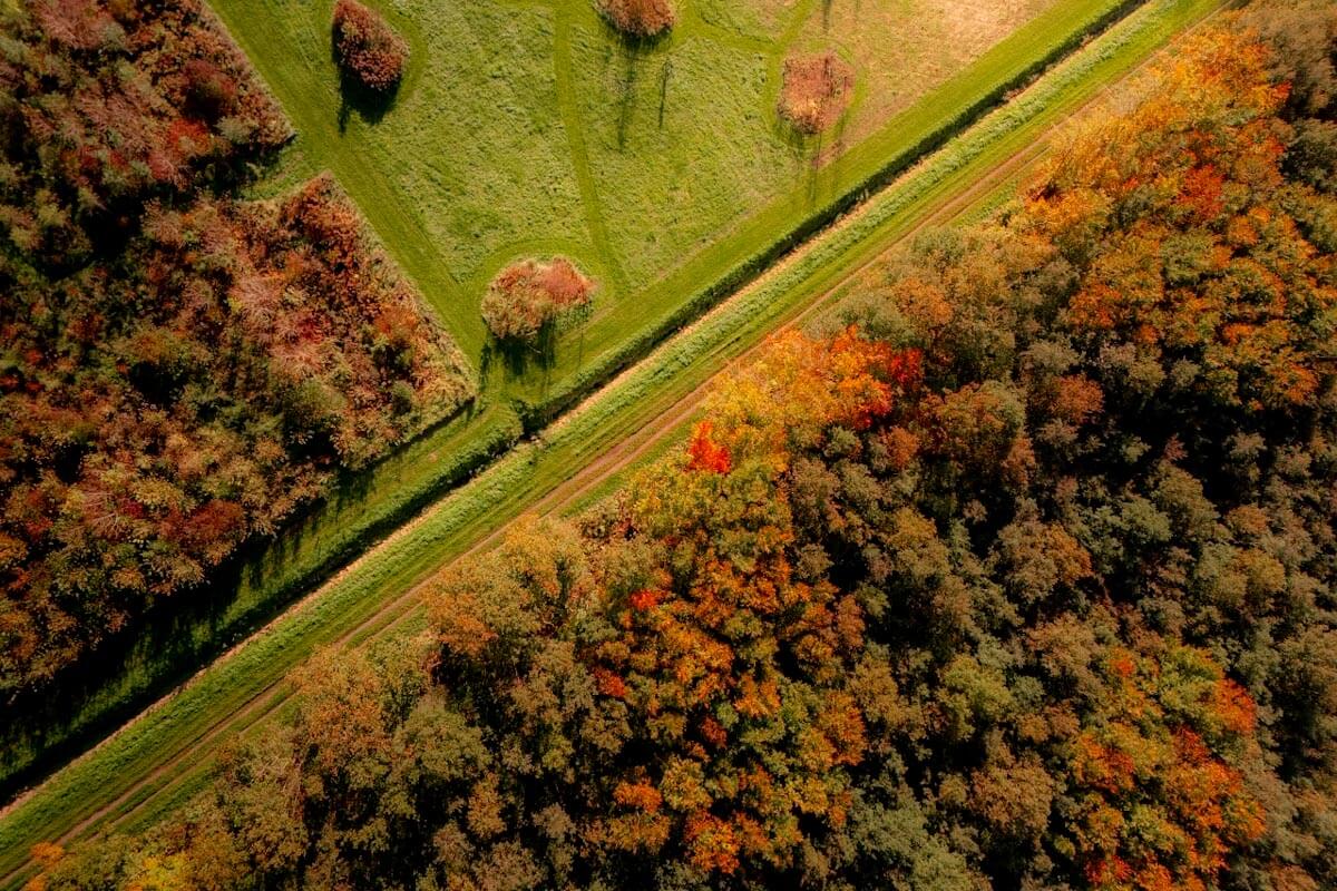 Wandelroutes Pampushout Almere Reislegende