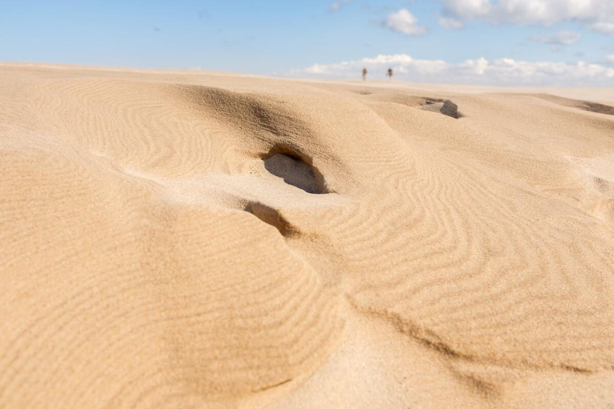 Denemarken Rabjerg Mile Jutland Reislegende