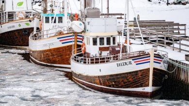 IJsland Husavik in winter Reislegende