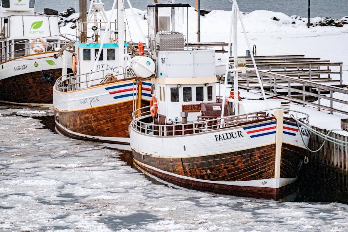 IJsland Husavik in winter Reislegende